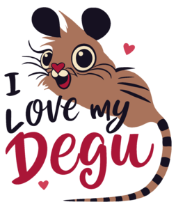 I love my Degu cuki